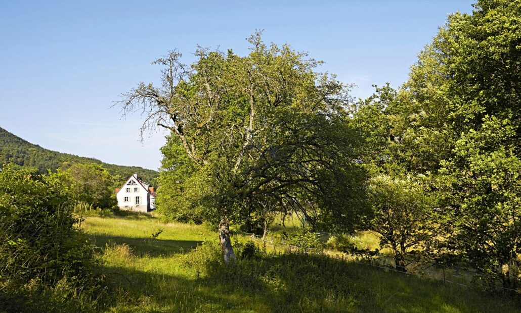csm_haus_am_grenzgaengerweg_2_fd94d83acb