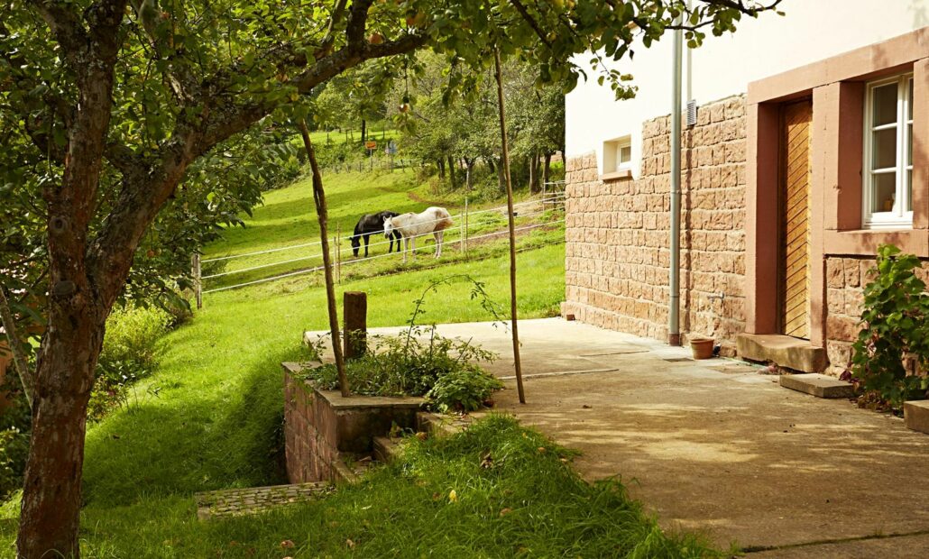 csm_haus_am_grenzgaengerweg_3_ff0f85b9fc